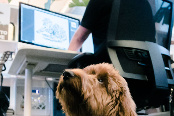 Gestionnaire de studio